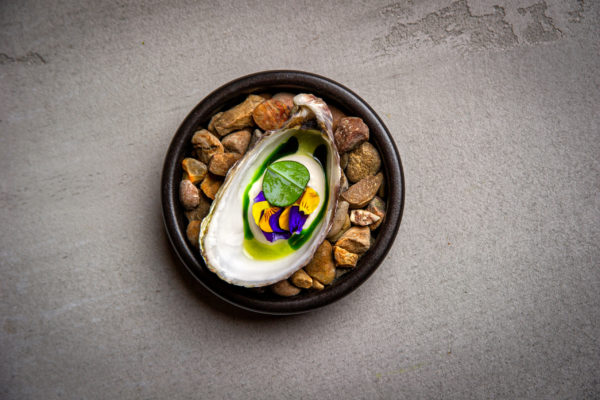 opheem2020summer4993